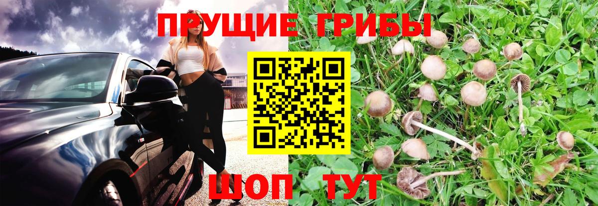 Псилоцибиновые грибы прущие грибы  Вход с VPN  Наро-Фоминск 